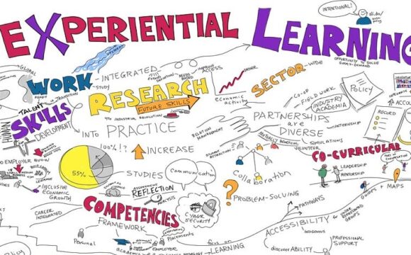 Revolutionizing Education: Teach With E4 – A Guide for Educators